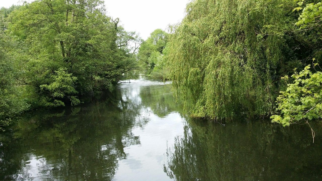 The river running between willows and overhanging trees at Denham.