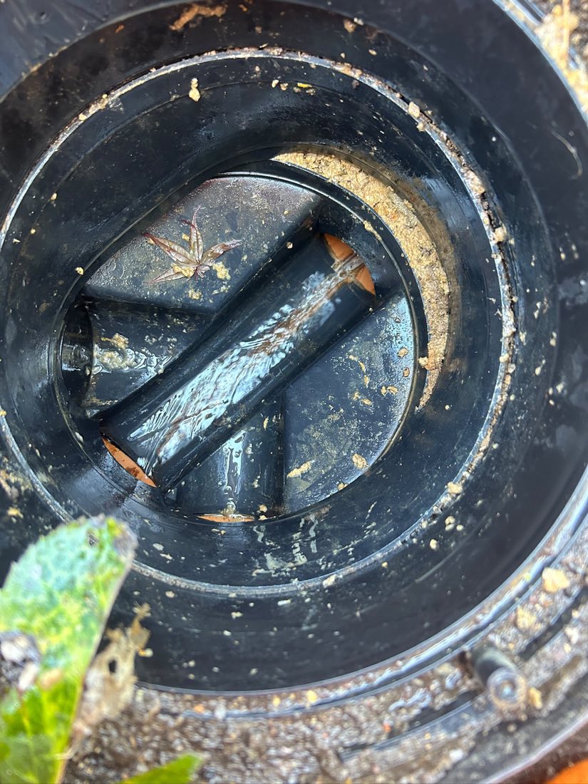 Looking down into a plastic drain pot at a black rodent blocker fitted across the opening, with silt and leaf debris around the rim.