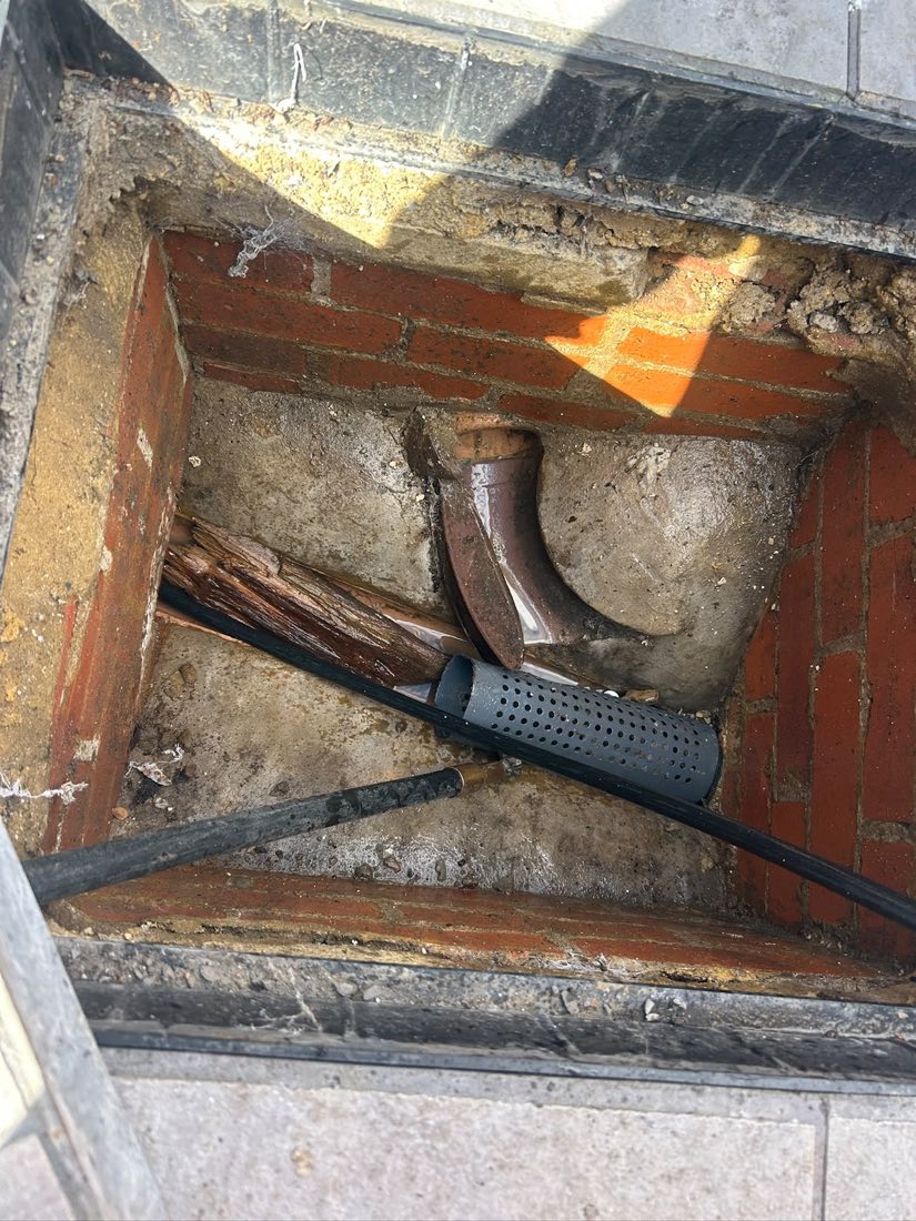 Tree roots growing through an inspection chamber, with a camera and hose alongside.